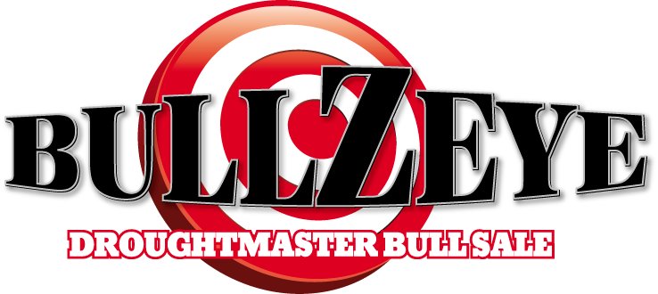 Home Bullzeye Sale Bullseye is an enemy of both elektra and daredevil and a antagonist in marvel comics, serving as the secondary antagonist of the daredevil franchise. home bullzeye sale