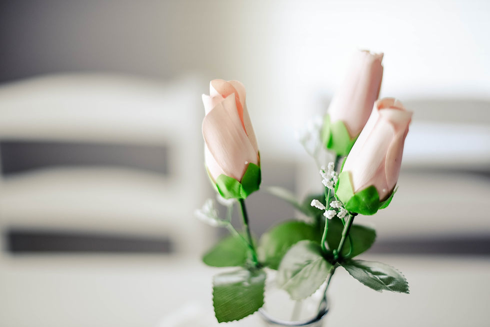 Shenandoah Valley Coalition Counteracting Human Trafficking (SVCCHT) Meeting