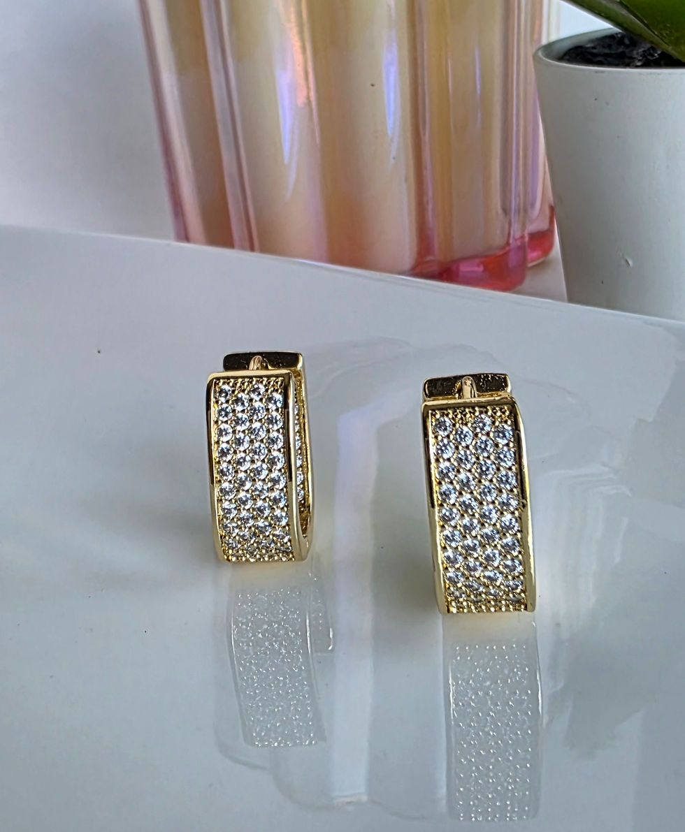 Shiny Zirconia earrings