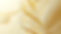 AdobeStock_1017356147.jpeg