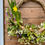 Thumbnail: 'Living' Spring Wreath