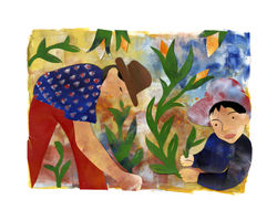 Agriculture Guatemala, Calendar for CARE