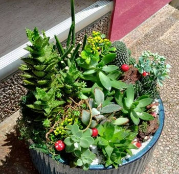 被留下的我們,該怎麼辦:自殺者遺族的沉痛