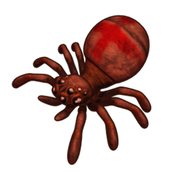 Spider