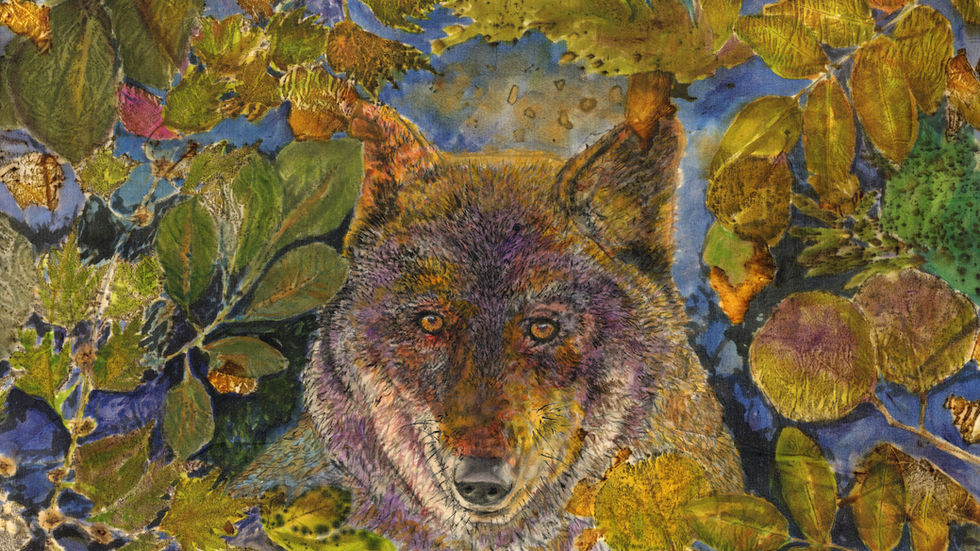 Wildlife