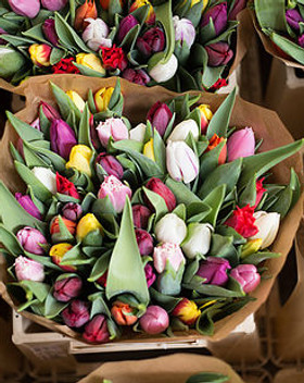 Bouquet of Flowers.jpg