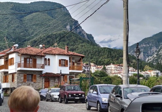 IMG_20211018_100518 Średni.jpeg