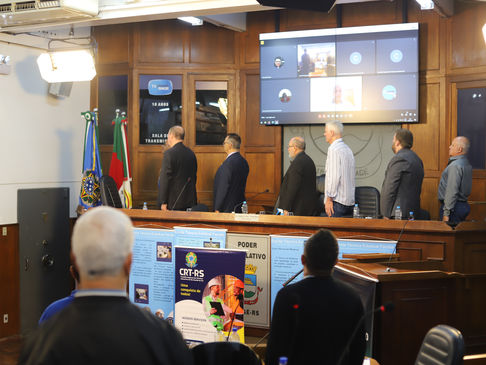 Plenária Ordinária nº002/2023 institui grupos de trabalho e recebe relato das comissões