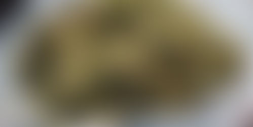 Alemanha fornece maconha de graça