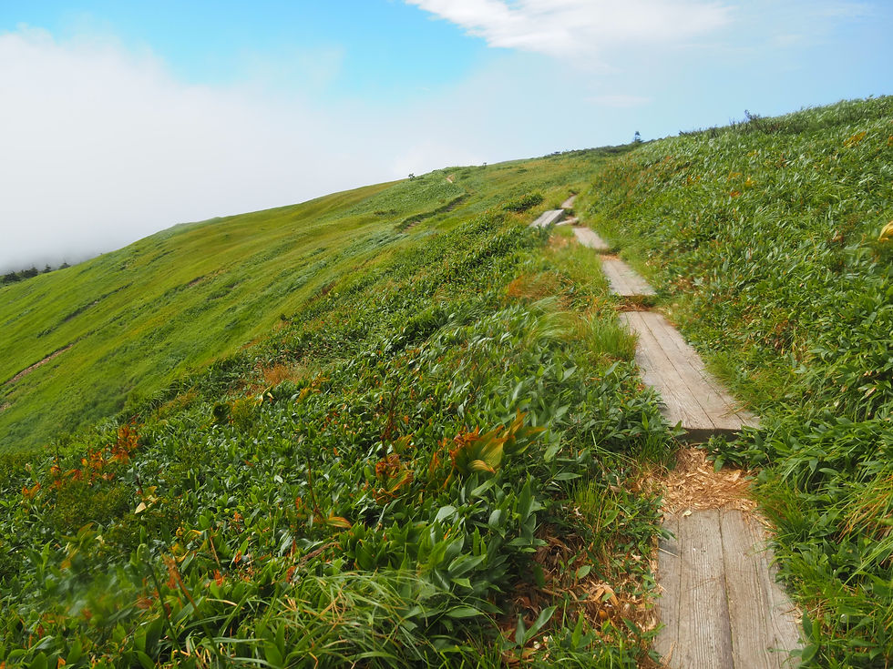 The ridge line to Mt Ushi