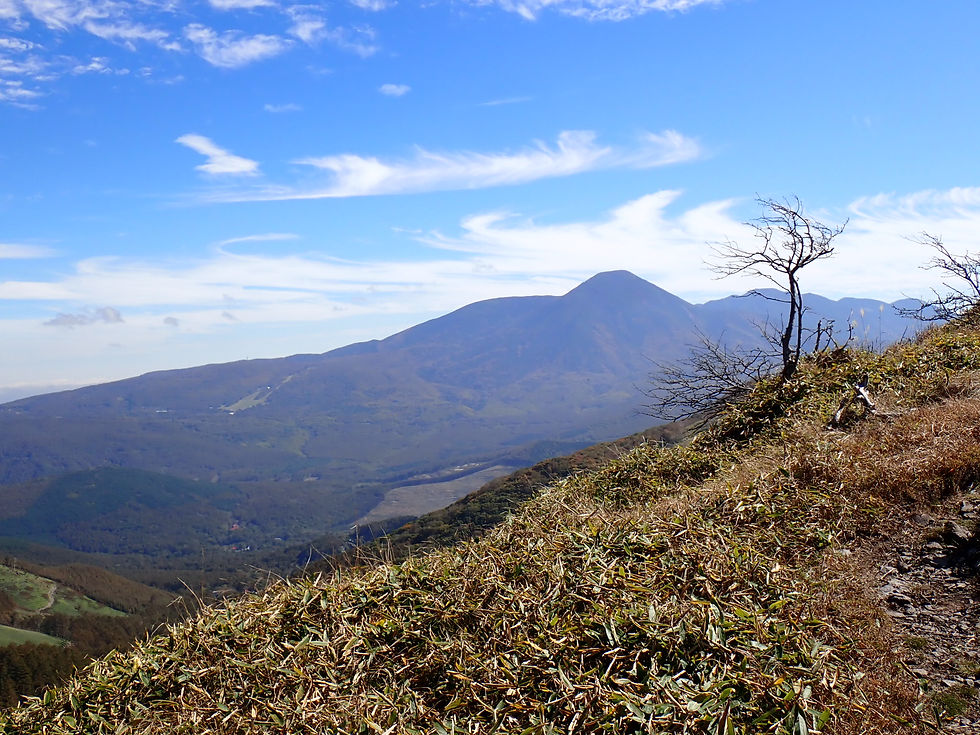 The distinctive shape of Mt Tateshina