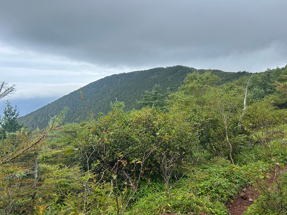 Volcanoes in the Asama range (Mt Takamine, Mt Mizunoto, Mt Higashi-Kagonoto)