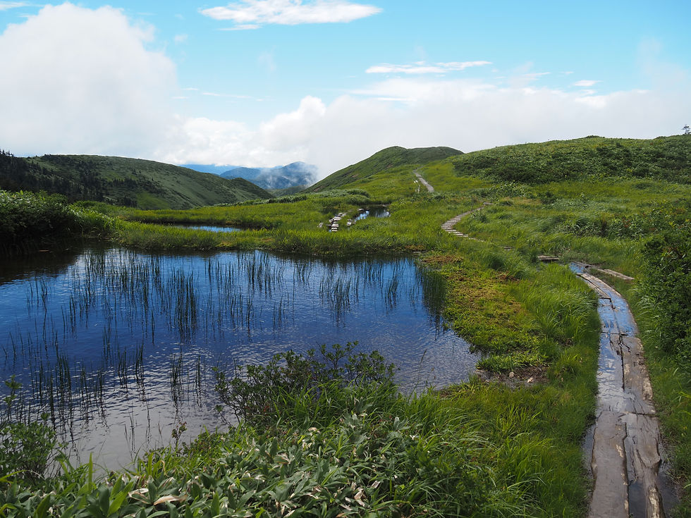 Alpine pools