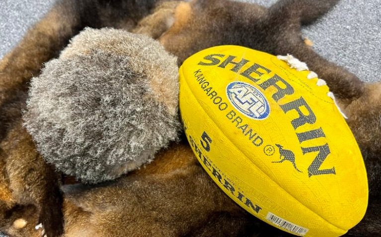 First Nations Incursion Indigenous Games | First Nations Incursions
