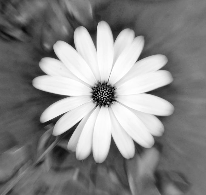 Edwin Pira, Productor audiovisual.