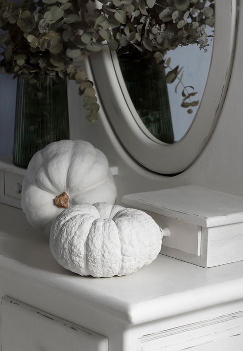 high-angle-white-pumpkins-plants.jpg