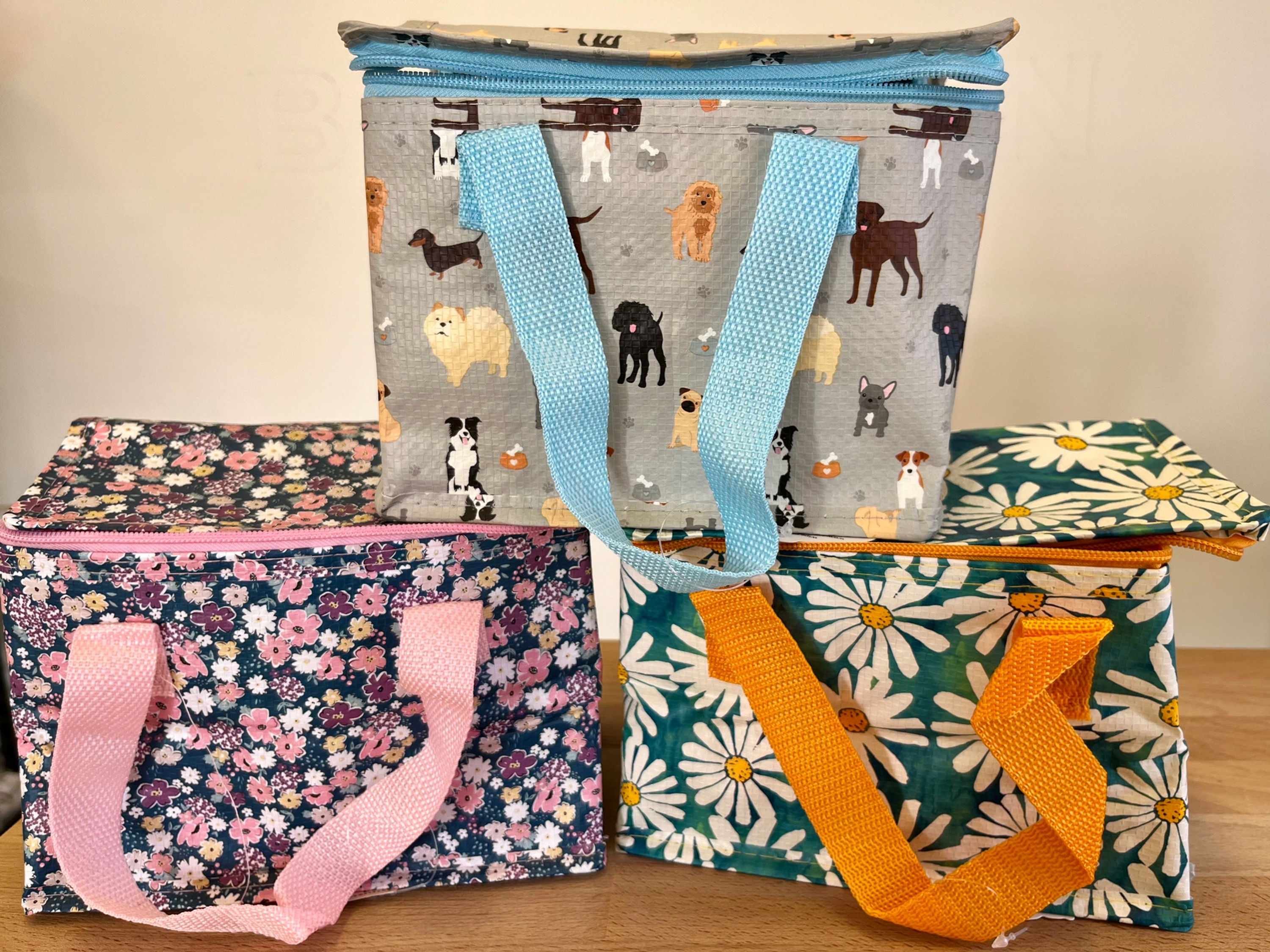 Recycled Bottle Lunch Bags