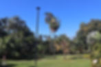 The Botanical Gardens offer many trails, unique flora, and beautiful scenery
