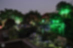 There are over 150 types of flowers and herbs!
