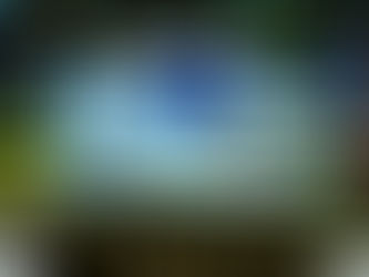 Mise à jour Garrett vortex