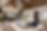ChatGPT Image Mar 25, 2026, 03_44_33 PM.png