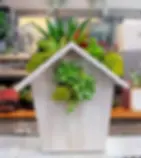 Succulent Birdhouse Workshop