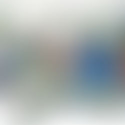 Five Generations Bears