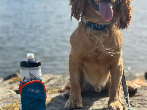 💧 Why Carrying Hydration Changed My Running — Even on the Short Runs