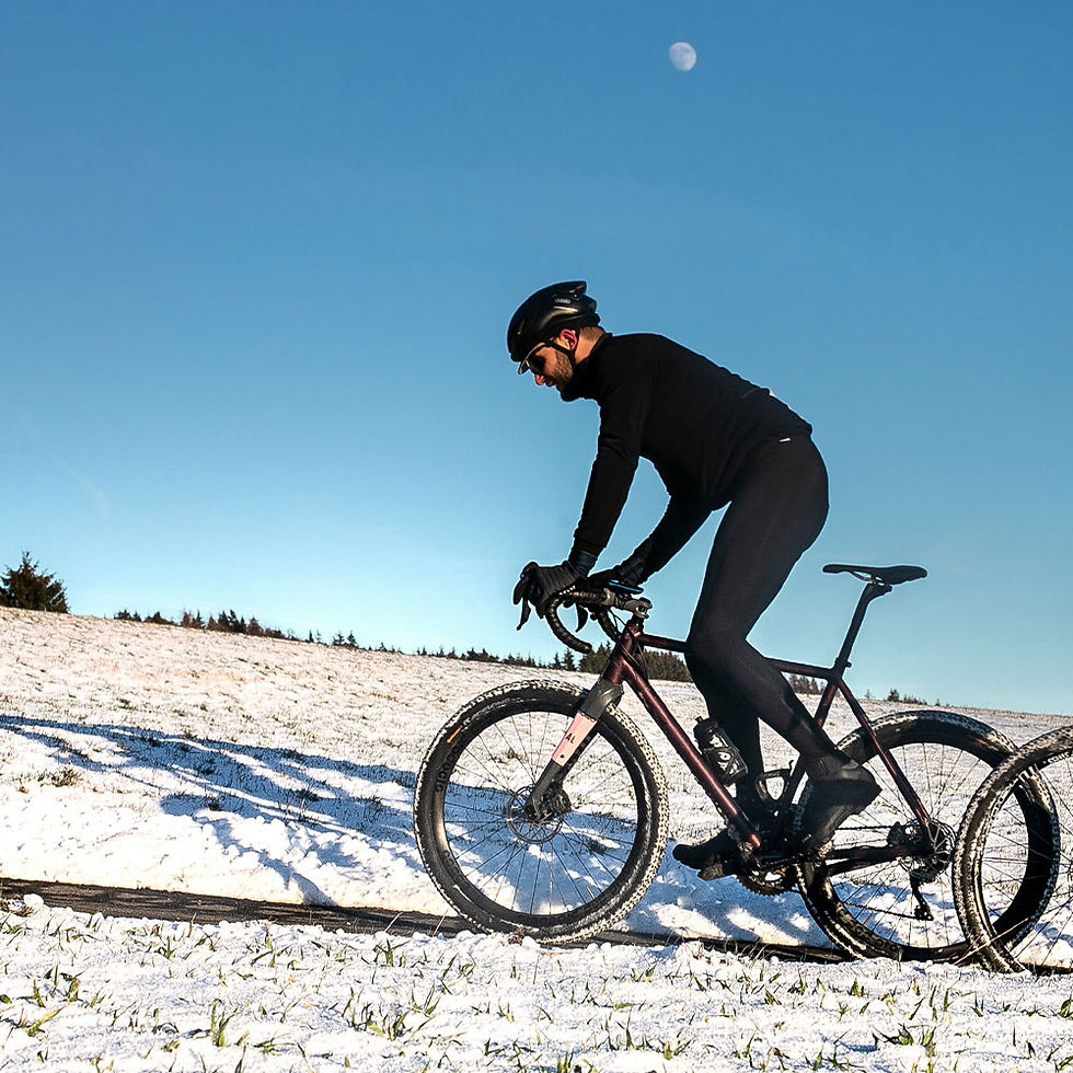 Thumbnail: Fizik Terra Artica GTX Action View