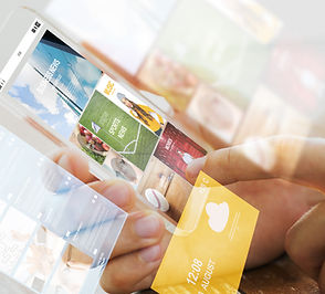 The application screens