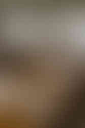 Brackenridge Wedding Photography, Wedding Photographer, Wedding Details