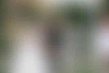 Brackenridge Wedding Photography, Wedding Ceremony