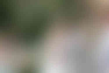 Brackenridge Wedding Photography