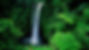 waterfalls_pouring_on_river_surrounded_by_green_trees_bushes_forest_background_hd_nature-1
