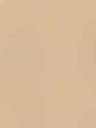 Finsa 12Twenty Hickory Frida