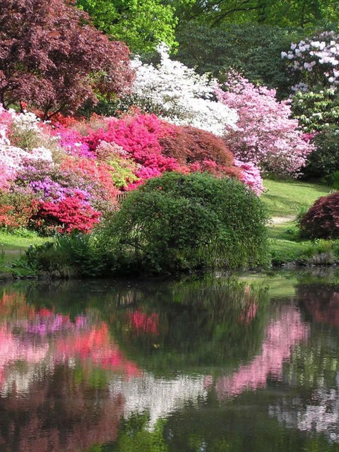 Exbury Gardens flowers in bloom