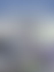 House & Garden Listing