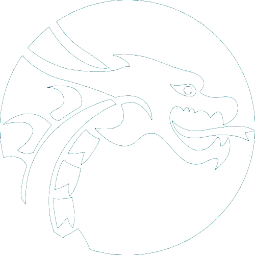 Chichester Dragon Boat Challenge logo