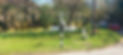 Midhurst signposts landscape.jpeg