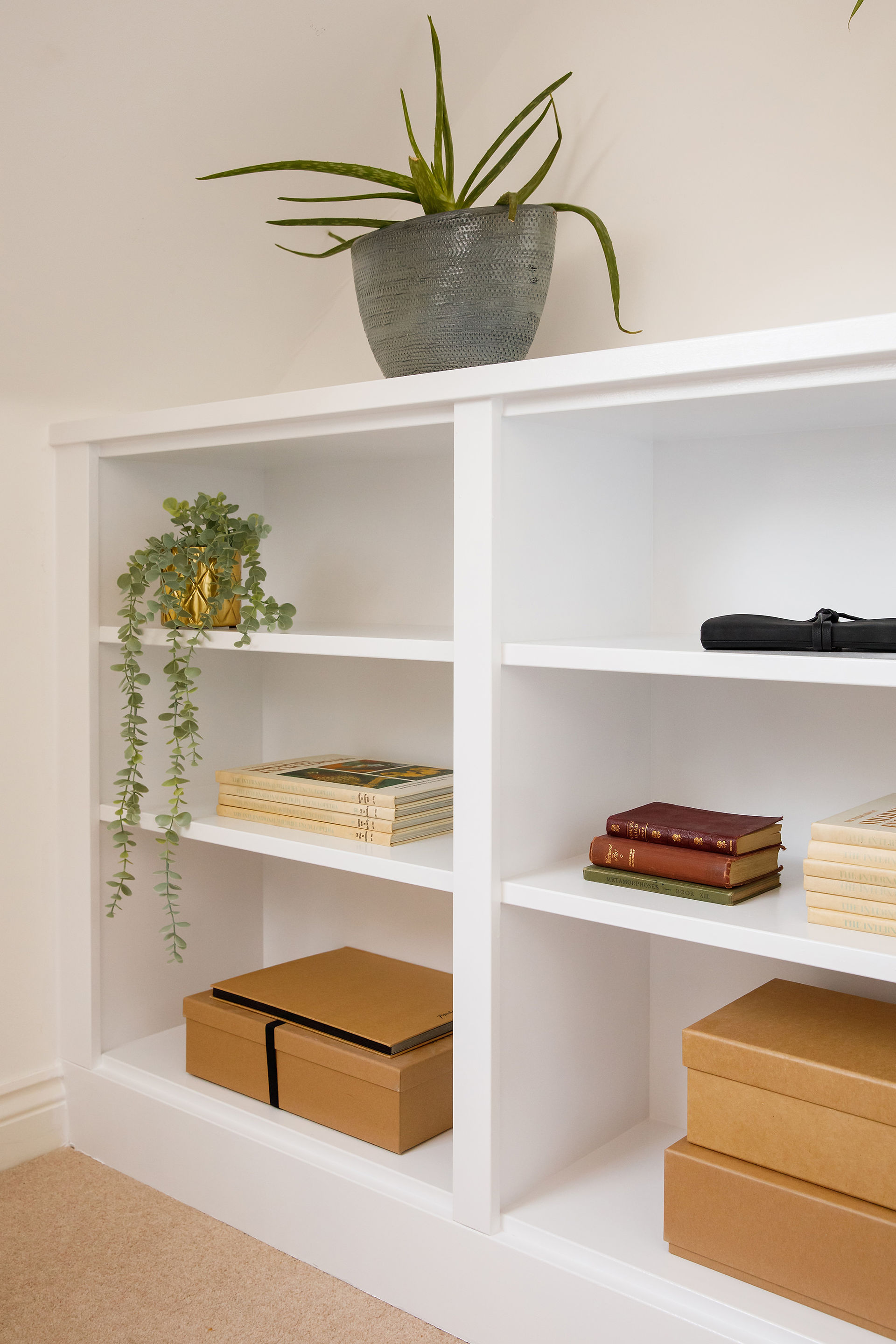 Book shelves