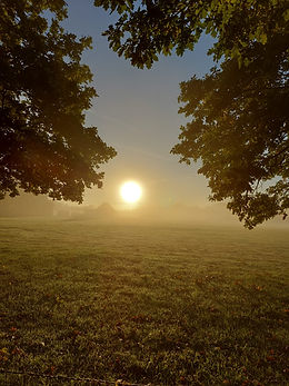 Sunset Midhurst.jpeg