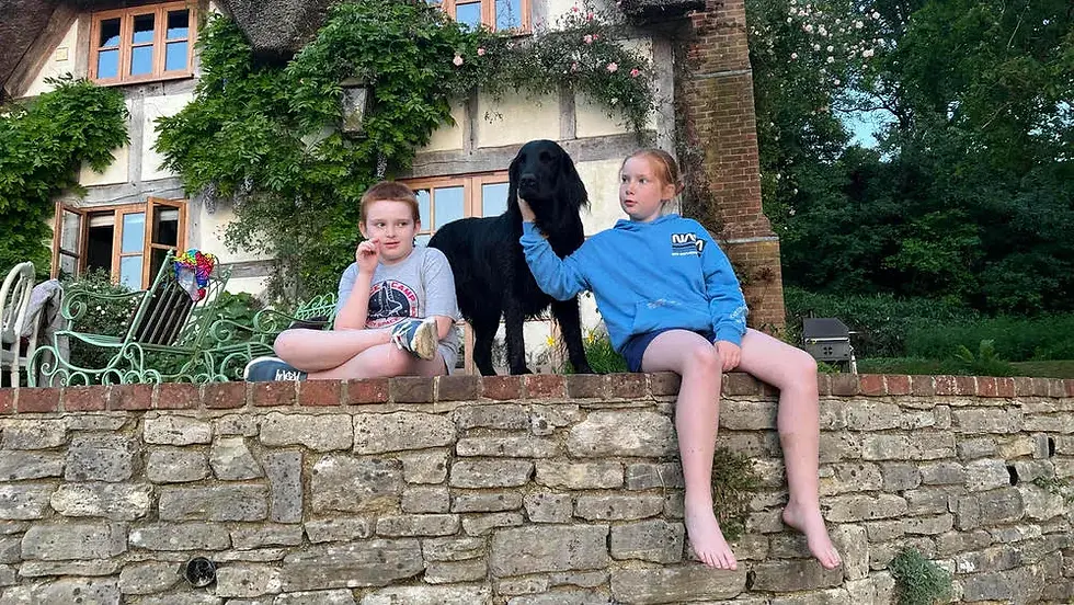 Dog Friendly Cottage New Forest