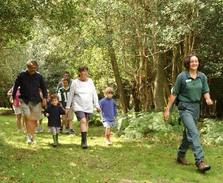 A walking tour in the New Forest