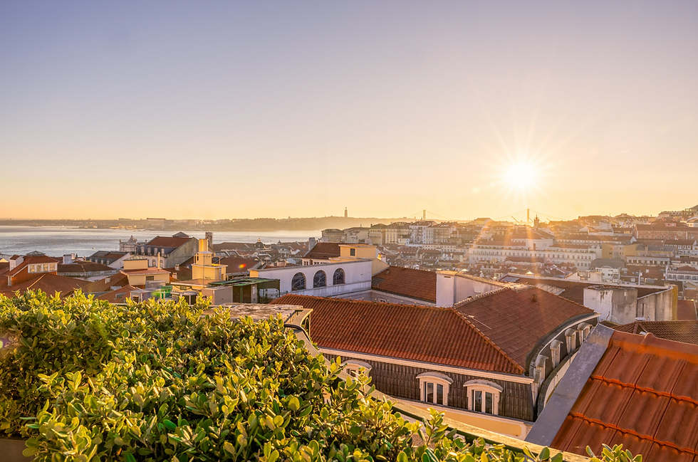 Screenshot 2025-08-11 at 9.48.15 AM