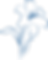 Blue lily Flower Illustration