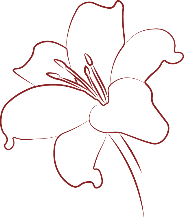 Illustration of a Red Lily flower
