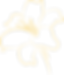 Lirio-YellowLirio.png