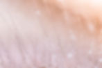 fond-macro-eau-tombe-fleurs-sauvages copie.jpg