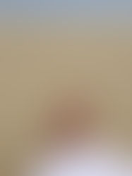 If I had a box just for wishes and dreams that had never come true The box would be empty except for