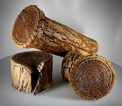 Logs.3